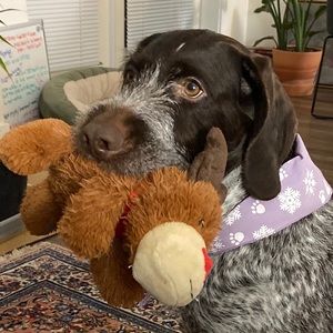 Meet your Posher, Angela